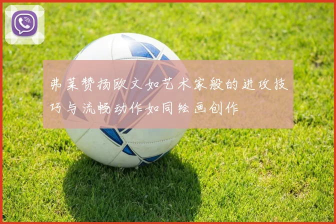弗莱赞扬欧文如艺术家般的进攻技巧与流畅动作如同绘画创作